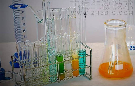 淺談培養(yǎng)基保存放置需注意四個方面？